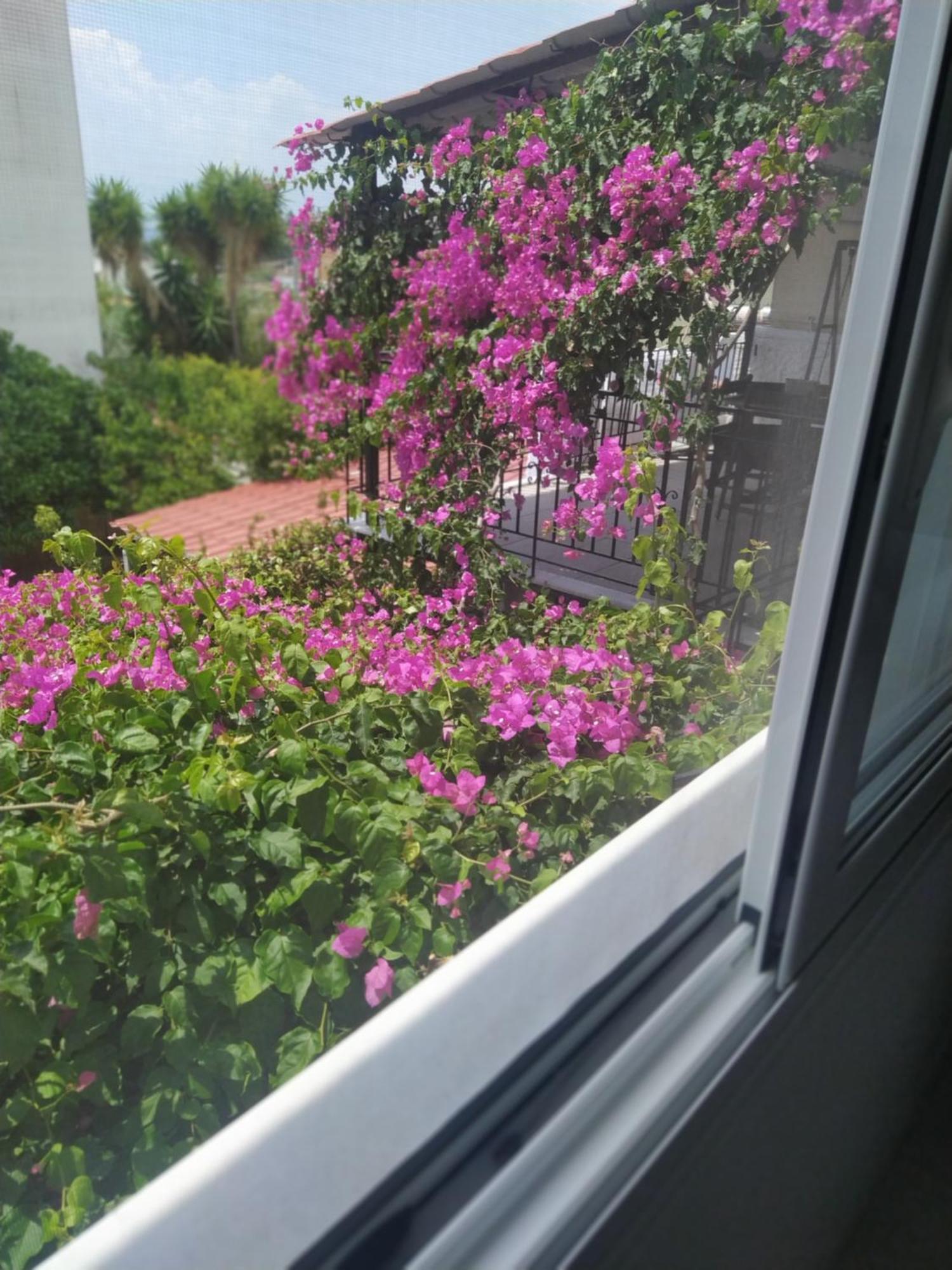 Kritharia Guesthouse Volos Luaran gambar